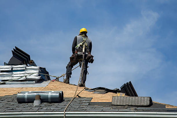 Professional Emergency Roof Repair technician working in Lambertville, MI